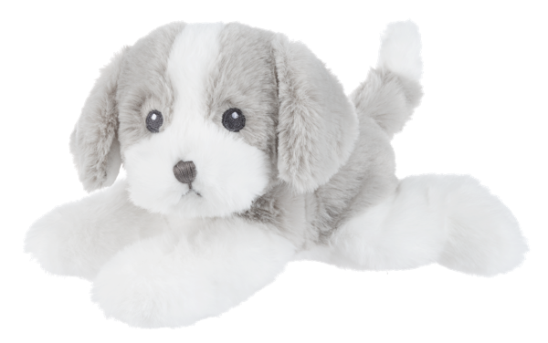 Grayson Puppy