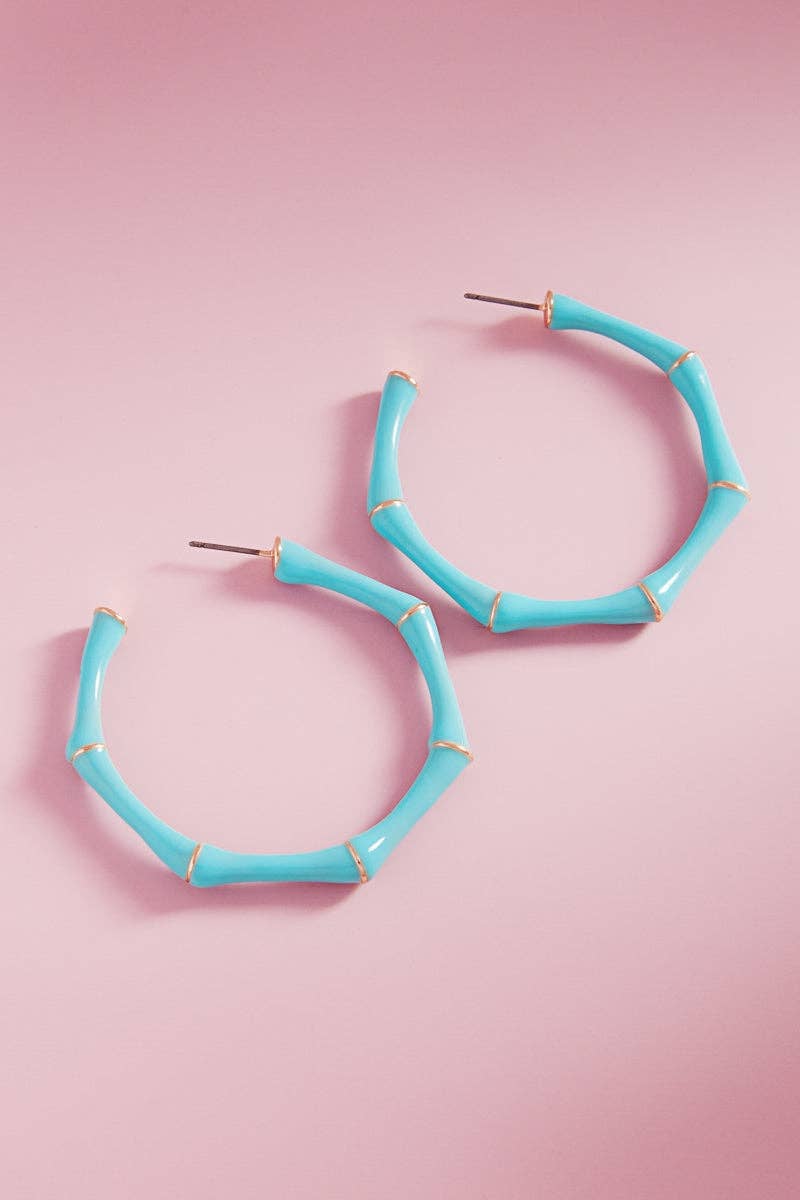 Bamboo Color Enamel Titanium Post Pin Hoop Earrings: TQ / ONE