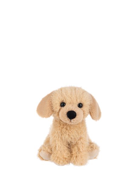 Grizzle Golden Retriever