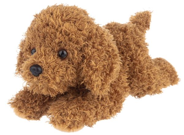 Nuzzles Labradoodle