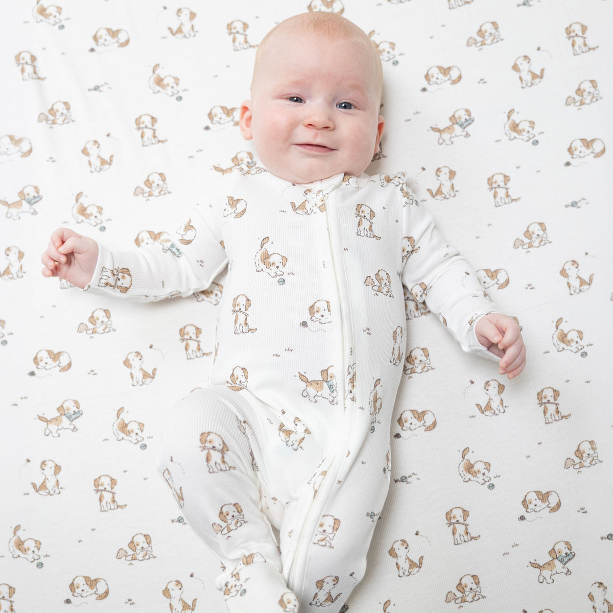 Angel Dear Explorer Puppy Blue - 2 Way Zipper Footie