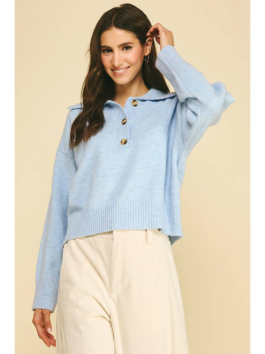 Collared Button Down Sweater in Blue