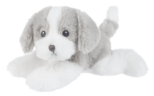 Grayson Puppy