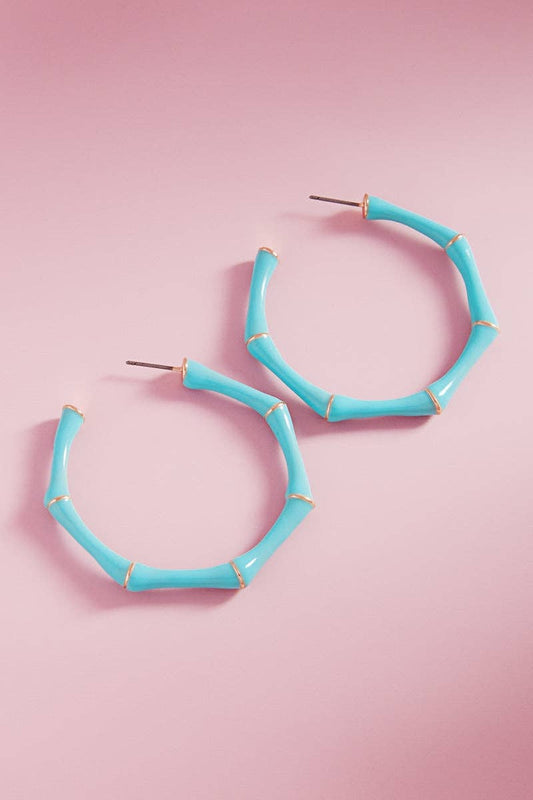 Bamboo Color Enamel Titanium Post Pin Hoop Earrings: TQ / ONE
