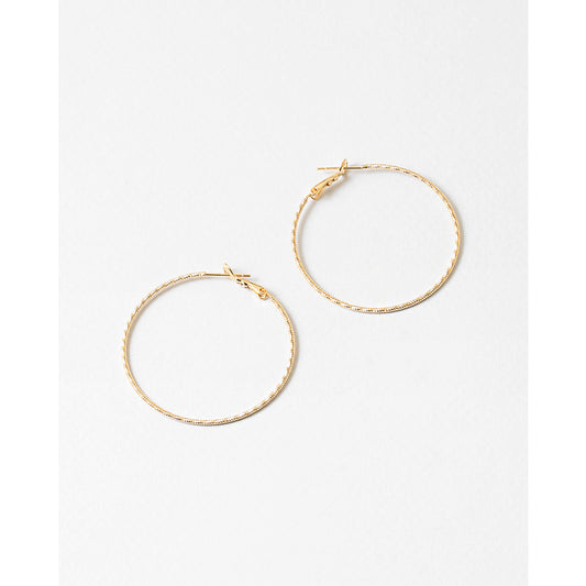 Shimmery Hoop