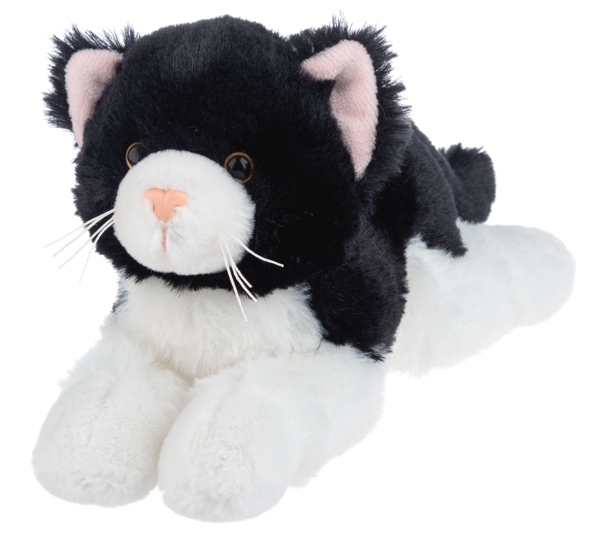 Nuzzles Cats-White/Black Cat