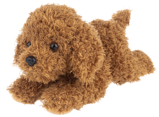 Nuzzles Labradoodle