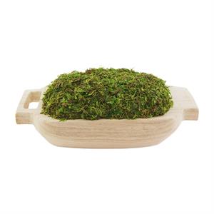 Moss Tray With Handles